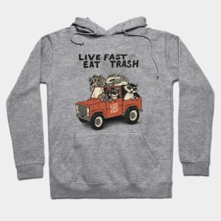 Funny Opossum Raccoon Meme, Live Fast Eat Trash Hoodie